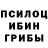Псилоцибиновые грибы Psilocybine cubensis Aleksandra Nifontova