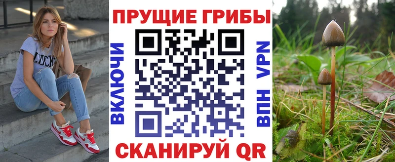Галлюциногенные грибы Psilocybine cubensis гидра ссылка Светлоград